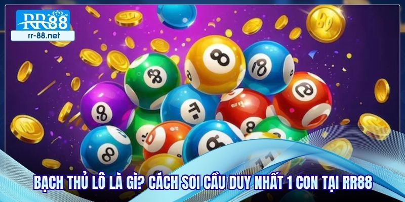 Bạch Thủ Lô Là Gì? Cách Soi Cầu Duy Nhất 1 Con Tại RR88