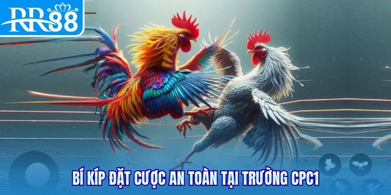 Bí kíp đặt cược an toàn tại trường CPC1