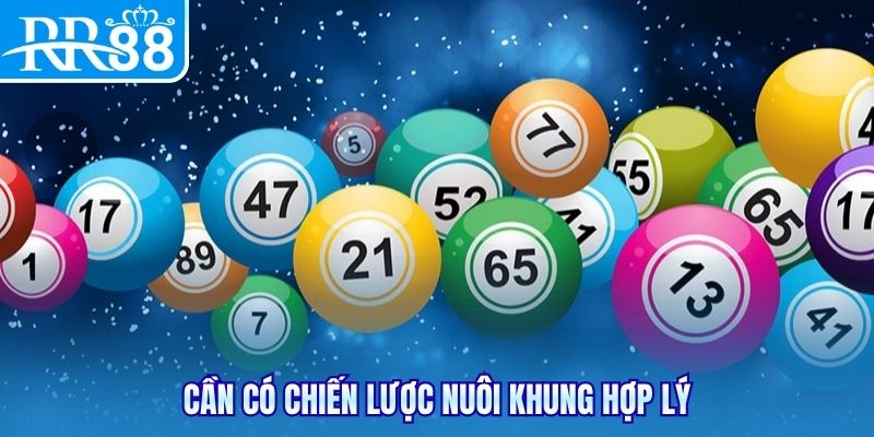 Cần có chiến lược nuôi khung hợp lý