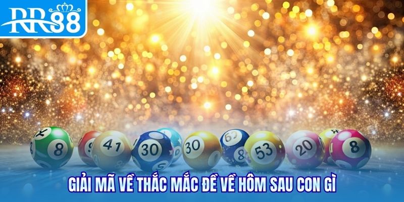 Giải mã về thắc mắc đề về hôm sau con gì
