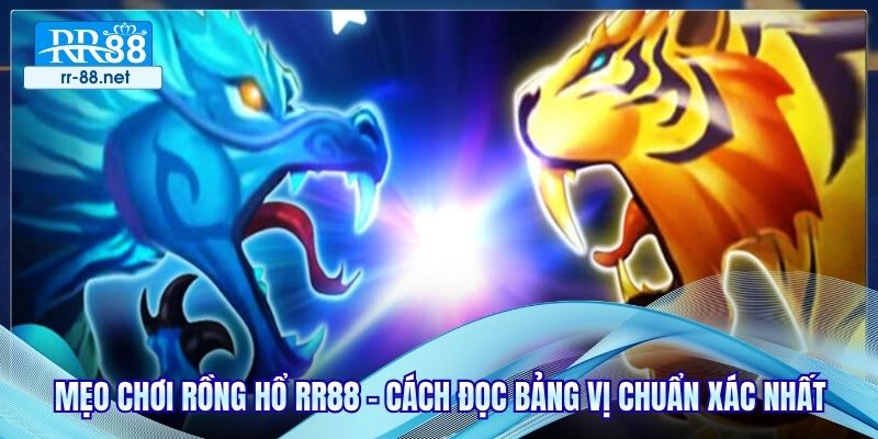 Mẹo Chơi Rồng Hổ RR88 - Cách Đọc Bảng Vị Chuẩn Xác Nhất