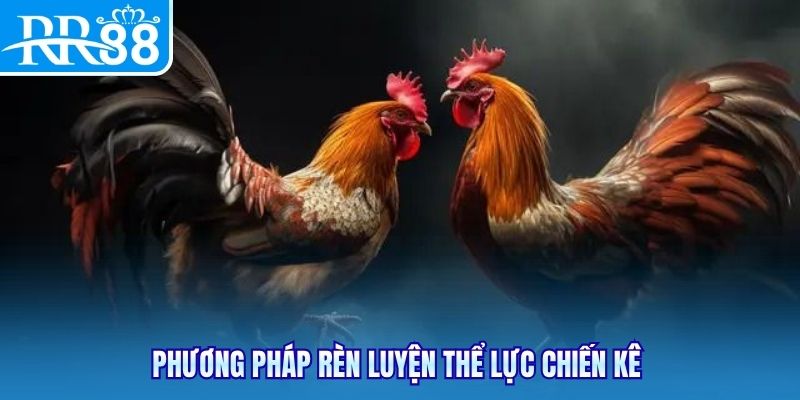 Phương pháp rèn luyện thể lực chiến kê 