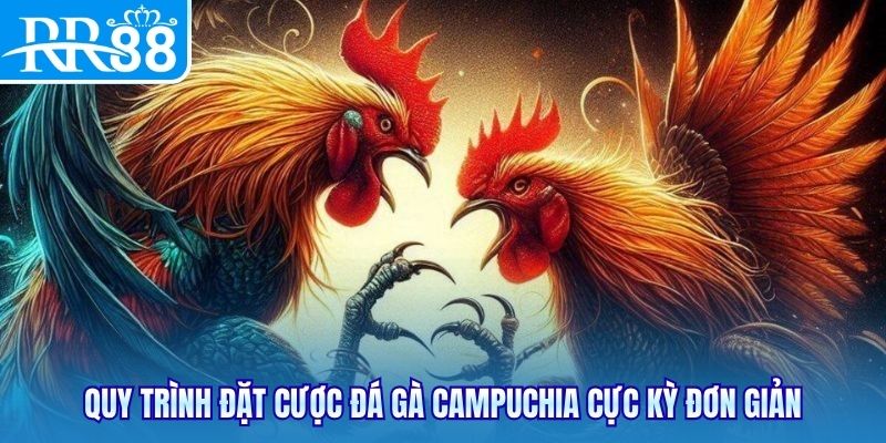 Quy trình đặt cược đá gà Campuchia cực kỳ đơn giản